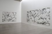 <p>展览现场，<em>转变</em>，麦勒画廊 北京-卢森，中国北京，2010年1月30日 &ndash; 4月4日</p>
