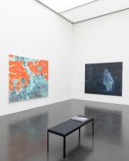 <p>Exhibition view, <em>Sykomore - Kabinettausstellung</em>, Kunstmuseum Luzern, Lucerne, Switzerland, 9.12.2017 - 7.1.2018</p>
