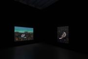 <p>Rebekka Steiger,&nbsp;Exhibition view&nbsp;of <em>Nightly Encounter</em>, Galerie Urs Meile, Beijing, China, 1.11. 2025 &ndash; 1.18.2026</p>
