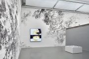 <p>Exhibition View, <em>Julia Steiner: Fliegender Wechsel</em>, Kunsthalle Wilhelmshaven, Germany, 30.09. - 26.11.2023, photo by Edward Greiner</p>
