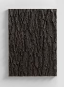 <p>Mirko Baselgia, <em>Landscape of growing II</em>, 1AP,&nbsp;2017, bronze (patina dark), 77.5 x 56 x 5 cm, edition of 3 + 1 AP, photo:&nbsp;Stefan Altenburger</p>
