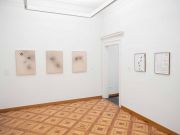 <p>展览现场，<em>Underground. Exploring Ecosystems</em>，Museo Villa dei Cedri，瑞士贝林佐纳，2024年3月16日 - 8月4日，图片 &copy; Giorgia Filipponi</p>
