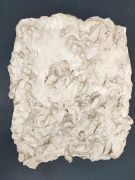 <p>Julia Steiner, <em>deep skin VI</em>, 2016, plaster of paris, laquer, approx. 42 x 32 cm</p>
