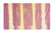 <p>Wiedemann/Mettler,&nbsp;<em>Smooth Wood 01,</em> 2025, javelle water on velvet, upholstered, 220 x 115 x 10 cm</p>
