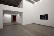 <p>展览现场，<em>热血、温血、冷血</em>，麦勒画廊 北京-卢森，中国北京，2011年11月5日 &ndash; 2012年2月12日</p>
