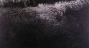 <p isrender="true">&nbsp;孟煌，<em isrender="true">秘密池塘之二</em>，2006，布面油画，220 x 400 cm</p>
