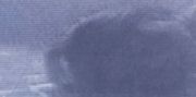<p>谢南星，<em isrender="true">无题（肖像 No.2）</em>，2001，布面油画，150 x 300 cm</p>
