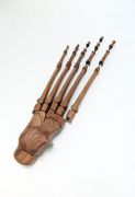 <p isrender="true">Shao Fan, <em isrender="true">Ming Foot Bones - 2009</em>, No.3, 2009, tieli wood, 28 x 130 x 42 cm</p>
