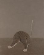 <p isrender="true">Shao Fan, <em isrender="true">Baby Tiger</em>, 2011,&nbsp;oil on canvas, 200 x 160 cm</p>

