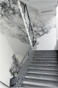 <p><em>on the move</em>, 2015, wall drawing, acrylic, Berufsfachschule Basel, Switzerland, photo by Serge Hasenb&ouml;hler</p>
