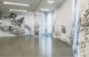 <p><em>Borrowed Light</em>, 2019, site-specific wall drawing, 4,1 x 32,2 m, Helvetia Art Foyer, Basel, gouache on wall/silk, gouache on paper/aludibond, photo by Serge Hasenb&ouml;hler</p>

