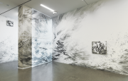 <p><em>Borrowed Light</em>, 2019, site-specific wall drawing, 4,1 x 32,2 m, Helvetia Art Foyer, Basel, gouache on wall/silk, gouache on paper/aludibond, photo by Serge Hasenb&ouml;hler</p>
