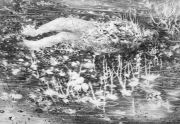 <p>尤莉亚&middot;斯坦纳<em>，humus</em>，2021，纸上水粉，148 x 215 cm，图片：Serge Hasenb&ouml;hler</p>
