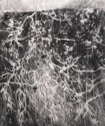 <p>Julia Steiner, <em>root V</em>, 2021, gouache on paper, 110 x 92 cm</p>
