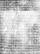 <p>尤莉亚&middot;斯坦纳，<em>partita (nerve)</em>，2022，纸上水粉，199 x 150 cm，图片：Serge Hasenb&ouml;hler</p>
