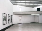 <p>Exhibition view, <em>China Connection</em>, Galerie Urs Meile, Beijing, China, 2.6.&nbsp;&ndash; 14.7.2007</p>
