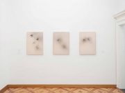 <p>展览现场，<em>Underground. Exploring Ecosystems</em>，Museo Villa dei Cedri，瑞士贝林佐纳，2024年3月16日 - 8月4日，图片 &copy; Giorgia Filipponi</p>
