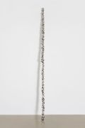 <p>Not Vital, <em>Modern Medieval</em>,&nbsp;2016, stainless steel, 307 x 12 x 12 cm</p>
