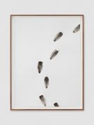 <p style="text-align:center">Mirko Baselgia, <em>fungus migration</em>, 2021, Coprinus Comatus ink on paper, 44 x 33 cm; 47.5 x 36.5 cm (framed); photo by Stefan Altenburger</p>
