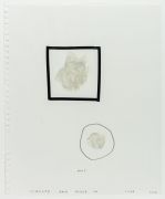 <p>诺特&middot;维塔尔，<em>Circled And Boxed In (Cuba)</em>，2004，纸上综合财材料，43.2 x 35.6 cm</p>
