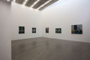 <p>展览现场，<em>王兴伟</em>，麦勒画廊北京-卢森，中国北京，2011年11月5日 － 2012年2月12日</p>
