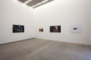 <p>展览现场，<em>热血、温血、冷血</em>，麦勒画廊 北京-卢森，中国北京，2011年11月5日 &ndash; 2012年2月12日</p>

