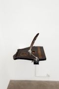 <p>Cheng Ran, <em isrender="true">Eagle and Deer</em>, 2013, mixed media installation (autoharp, motor, eagle feather), 43 x 64 x 53 cm</p>
