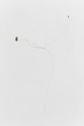<p>Cao Yu, <em>The World Has Nothing to Do with Me</em>, 2017, single long hair (the artist&rsquo;s), wall, dimensions variable, site-specific installation</p>
