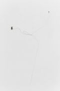 <p>Cao Yu, <em>The World Has Nothing to Do with Me</em>, 2017, single long hair (the artist&rsquo;s), wall, dimensions variable, site-specific installation</p>
