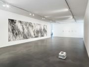 <p>Julia Steiner, Exhibition view, <em>Am Saum des Raumes</em>, mpk Museum Pfalzgalerie Kaiserslautern, Kaiserslautern, Germany, February 8 - August 23, 2020, photo: Serge Hasenb&ouml;hler</p>
