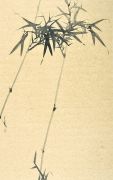 <p>Shan Fan, <em>Painting the Moment (Malerei des Augenblicks)&nbsp;</em>(No. 28),&nbsp;2006-2008, ink on rice paper, 78 x 48 cm</p>
