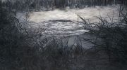 <p>Meng Huang,&nbsp;<em isrender="true">Secret Pond no. 5</em>,&nbsp;2008, oil on canvas, 220 x 400 cm</p>
