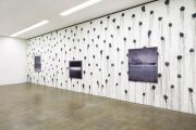 <p>Exhibition view, <em>Temporary Visual Wound</em>, Centre Pasquart, Biel, Switzerland, 6. 1.&nbsp;&ndash; 20. 3.2011</p>
