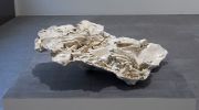 <p>尤莉亚&middot;斯坦纳，<em>fossil IV</em>，2015，熟石膏，漆，约 22 x 75 x 62 cm</p>
