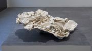 <p>Julia Steiner, <em>fossil IV</em>, 2015, plaster of paris, laquer, approx. 22 x 75 x 62 cm</p>
