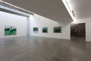 <p>展览现场，<em>王兴伟</em>，麦勒画廊北京-卢森，中国北京，2011年11月5日 － 2012年2月12日</p>
