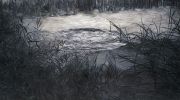 <p>孟煌，<em isrender="true">秘密池塘之五</em>，2008，布面油画，220 x 400 cm</p>
