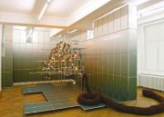 <p>Wiedemann/Mettler,&nbsp;<em>Trailer Park,</em> 2008, handknitted woollen snake, party lights, chromed system with d&eacute;grad&eacute; print</p>
