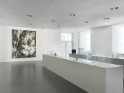 <p>Julia Steiner, Exhibition view, <em>Am Saum des Raumes</em>, mpk Museum Pfalzgalerie Kaiserslautern, Kaiserslautern, Germany, February 8 - August 23, 2020, photo: Serge Hasenb&ouml;hler</p>
