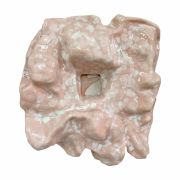 <p>Wiedemann/Mettler, <em>Delicate Experience 01</em>, 2025, glazed ceramics, polaroid picture, ca. 55 x 58 x 12 cm&nbsp;</p>
