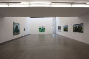 <p>展览现场，<em>王兴伟</em>，麦勒画廊北京-卢森，中国北京，2011年11月5日 － 2012年2月12日</p>

