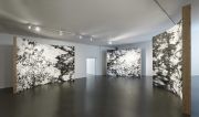 <p>Julia Steiner, Exhibition view, <em>Am Saum des Raumes</em>, mpk Museum Pfalzgalerie Kaiserslautern, Kaiserslautern, Germany, February 8 - August 23, 2020, photo: Serge Hasenb&ouml;hler</p>
