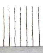 <p isrender="true">诺特&middot;维塔尔，<em>Walking stick</em>，2014，不锈钢，350 x &oslash; 10 cm</p>
