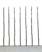 <p>Not Vital, <em>Walking Stick</em>,&nbsp;2014, stainless steel, each 350 x &Oslash; 10 cm</p>
