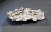 <p>Julia Steiner, <em>fossil III</em>, 2015, plaster of paris, laquer, approx. 20 x 50 x 45 cm</p>
