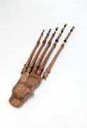 <p isrender="true">Shao Fan, <em isrender="true">Ming Foot Bones - 2009</em>, No.3, 2009, tieli wood, 28 x 130 x 42 cm</p>
