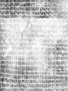 <p>Julia Steiner, <em>partita (nerve)</em>, 2022, gouache on paper, 199 x 150 cm, photo by Serge Hasenb&ouml;hler</p>
