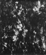 <p>尤莉亚&middot;斯坦纳，<em>Nocturne II</em>，2013，纸上水粉，150 x 125 cm</p>
