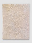 <p isrender="true">米尔科&middot;巴泽吉亚，<em isrender="true">La pel digl g&ocirc;t (white)</em>，2015，陶瓷，颜料上釉，44 x 33 x 1.1 cm，由Stefan Altenburger提供</p>

