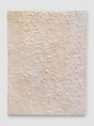 <p isrender="true">米尔科&middot;巴泽吉亚，<em isrender="true">La pel digl g&ocirc;t (white)</em>，2015，陶瓷，颜料上釉，44 x 33 x 1.1 cm，由Stefan Altenburger提供</p>
